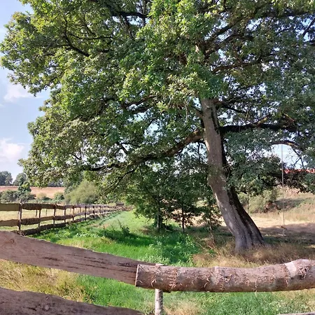 Le Fief Guibert D'hotes - - Elevage De Lamas En Vendee 3* Le Poiré-sur-Vie