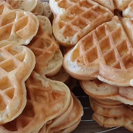 Le Fief Guibert D'hotes - - Elevage De Lamas En Vendee B&B 3*