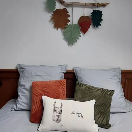 Le Fief Guibert D'hotes - - Elevage De Lamas En Vendee Le Poiré-sur-Vie