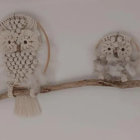 Le Fief Guibert D'hotes - - Elevage De Lamas En Vendee