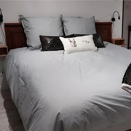 Bed & Breakfast Le Fief Guibert D'hotes - - Elevage De Lamas En Vendee