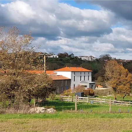 Le Fief Guibert D'hotes - - Elevage De Lamas En Vendee Le Poire-sur-Vie
