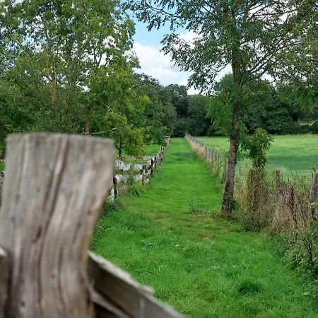 فندق مبيت وإفطار Le Fief Guibert D'hotes - - Elevage De Lamas En Vendee Le Poiré-sur-Vie