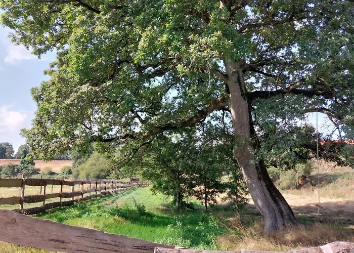 Le Fief Guibert D'hôtes - - élevage De Lamas En Vendée 3* Le Poiré-sur-Vie