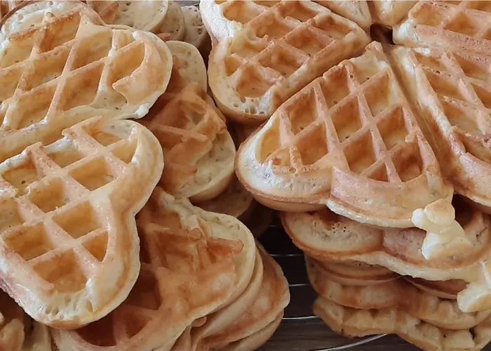 Le Fief Guibert D'hôtes - - élevage De Lamas En Vendée Couette-café 3*