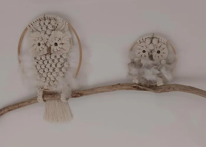 Le Fief Guibert D'hôtes - - élevage De Lamas En Vendée