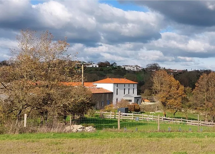 Le Fief Guibert D'hôtes - - élevage De Lamas En Vendée Le Poiré-sur-Vie