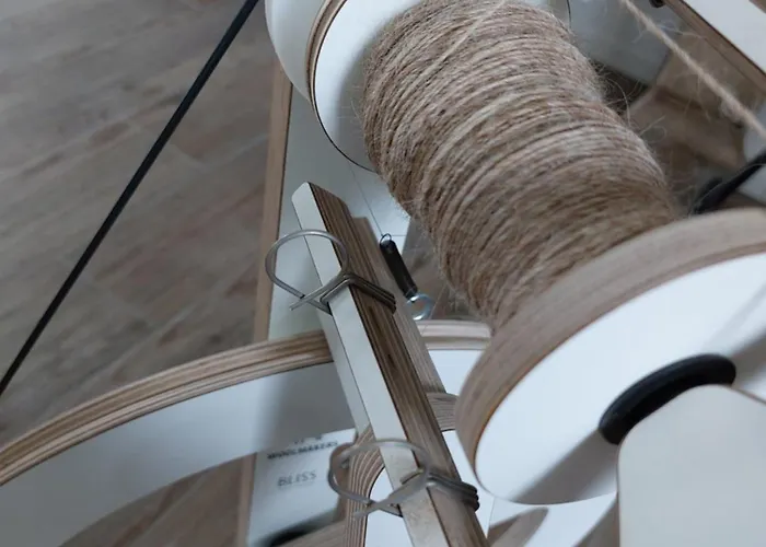 Le Fief Guibert D'hôtes - - élevage De Lamas En Vendée Couette-café