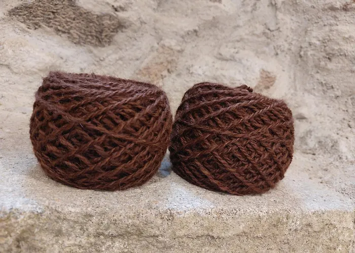 Le Fief Guibert D'hôtes - - élevage De Lamas En Vendée Couette-café 3*