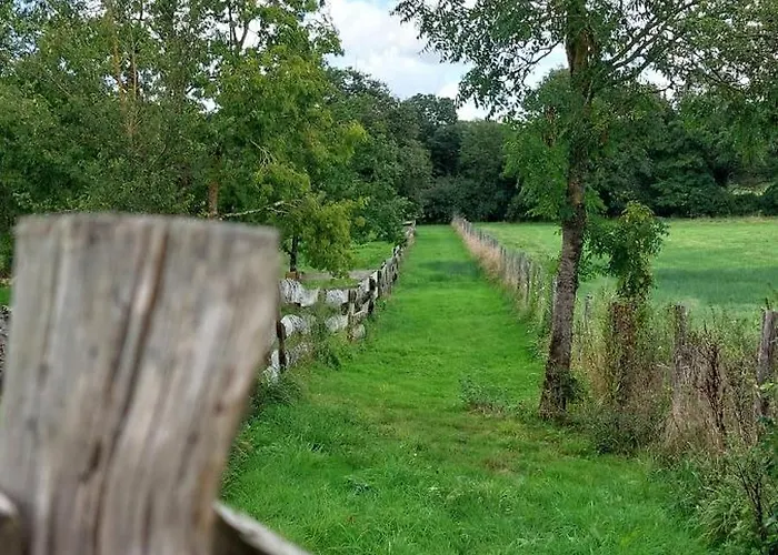Couette-café Le Fief Guibert D'hôtes - - élevage De Lamas En Vendée Le Poiré-sur-Vie